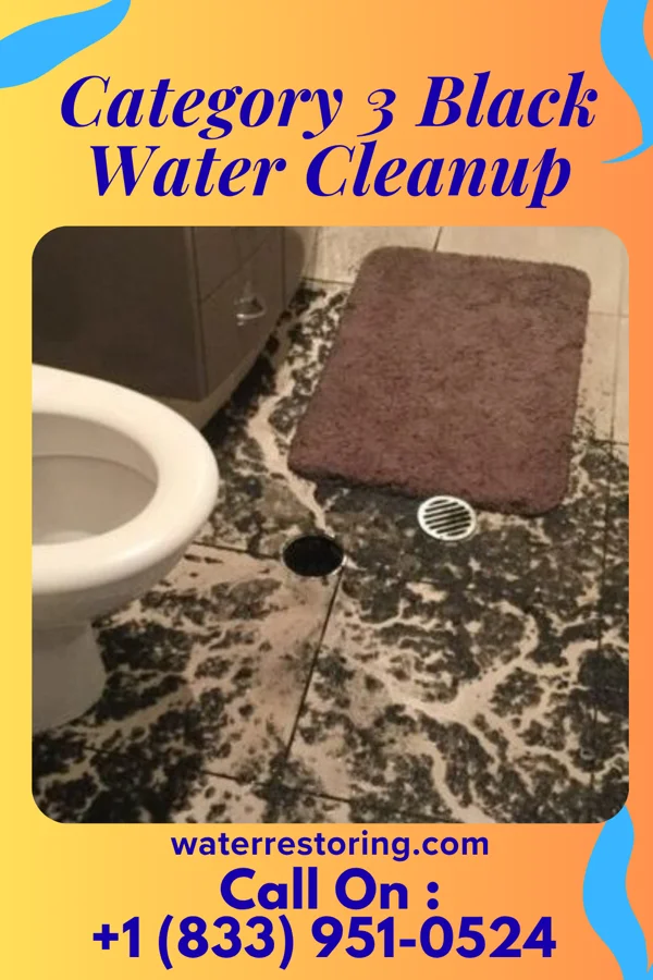 Category 3 Black Water Cleanup in New Pekin, IN