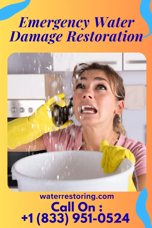 Emergency Water Damage Restoration in New Pekin, IN