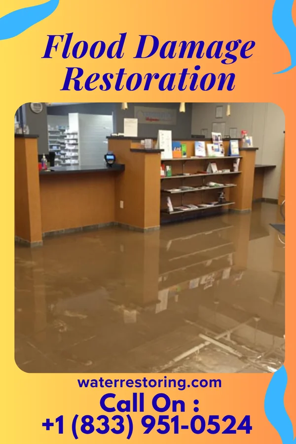 Flood Damage Restoration in New Pekin, IN