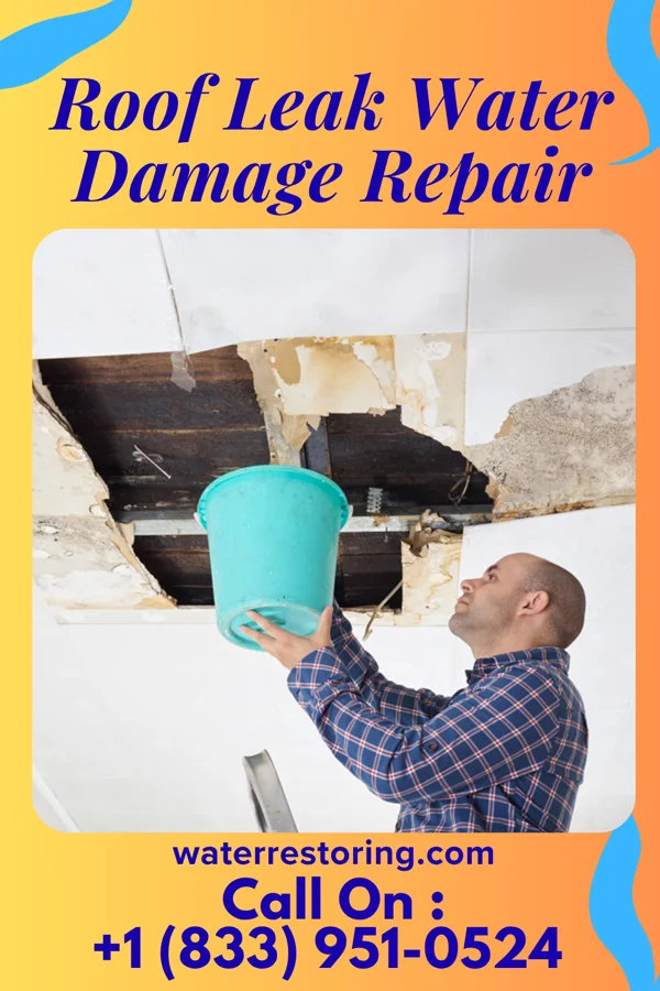 Roof Leak Water Damage Repair in New Pekin, IN