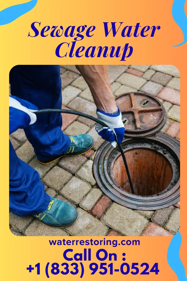 Sewage Water Cleanup in New Pekin, IN